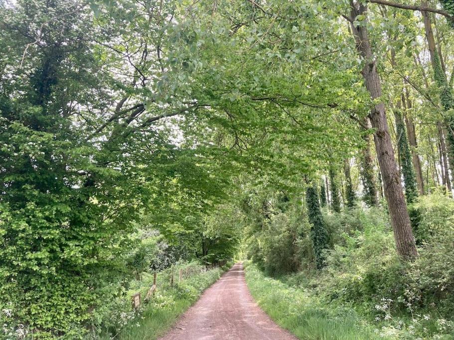 Au Bois D'Epenin - Gite Et Spa Beugin Exteriör bild