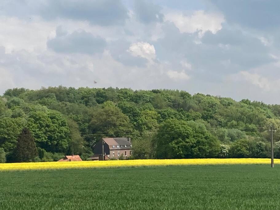 Au Bois D'Epenin - Gite Et Spa Beugin Exteriör bild